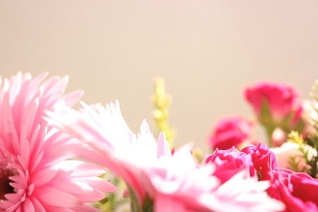 20130906p11.jpg