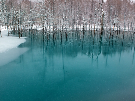 20131225p99.jpg