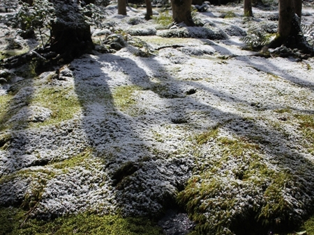 20140131p11.jpg